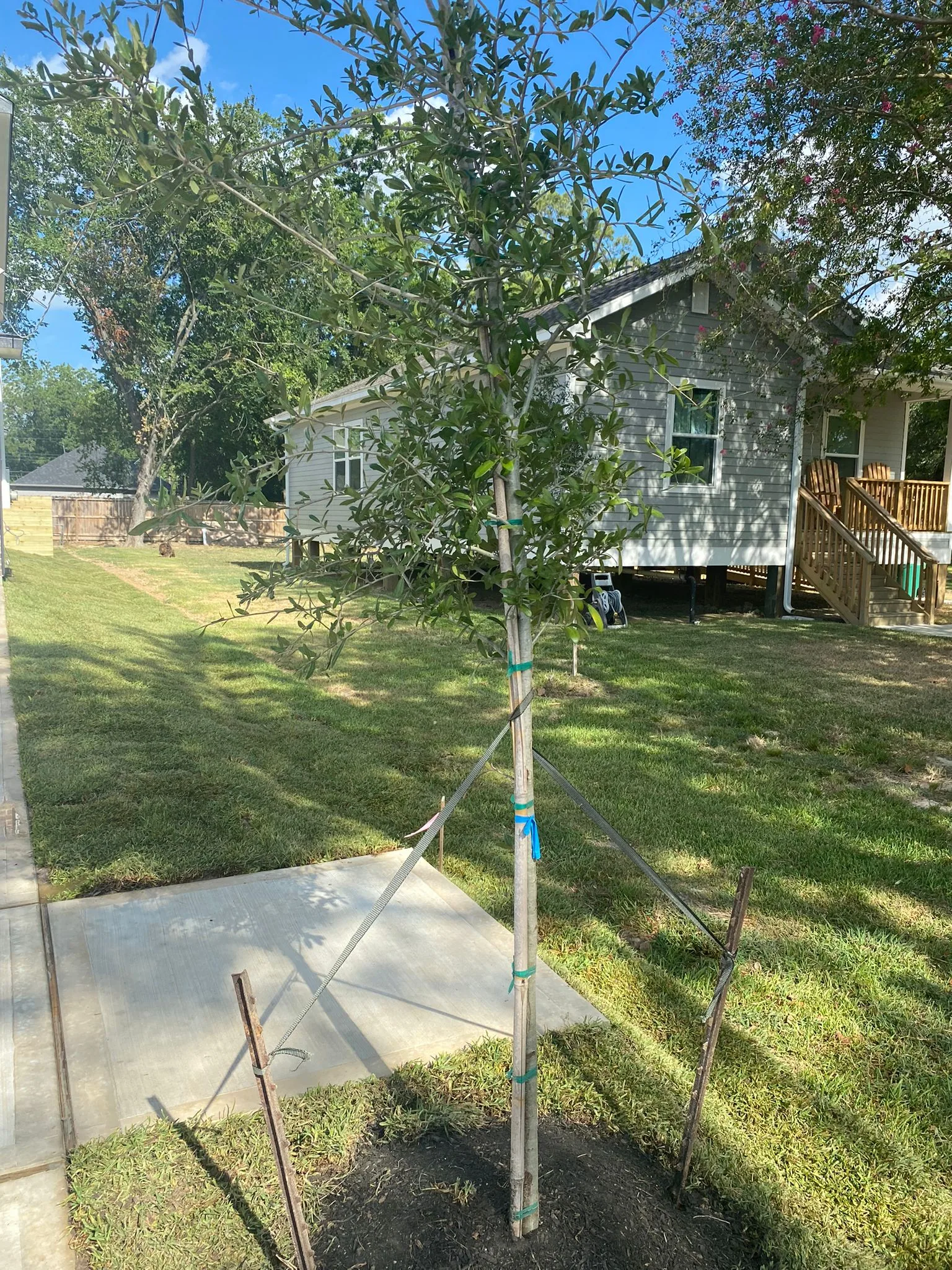 Dirt Delivery project - Odie Tractor Services Houston TX
